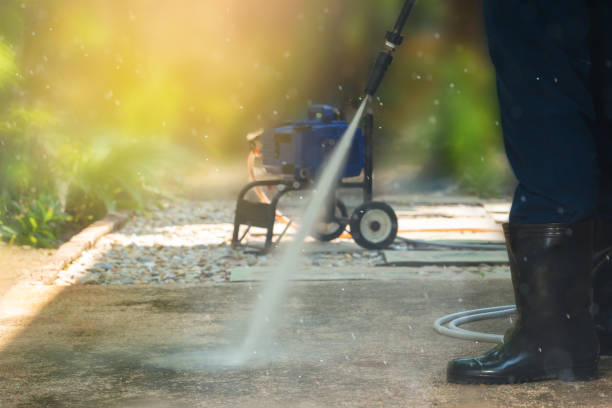 Best Roof Washing  in Saugerties South, NY